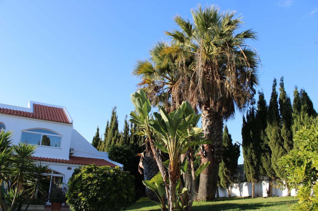 Casa Carioca Carvoeiro Bed and Breakfast Carvoeiro  Eksteriør billede